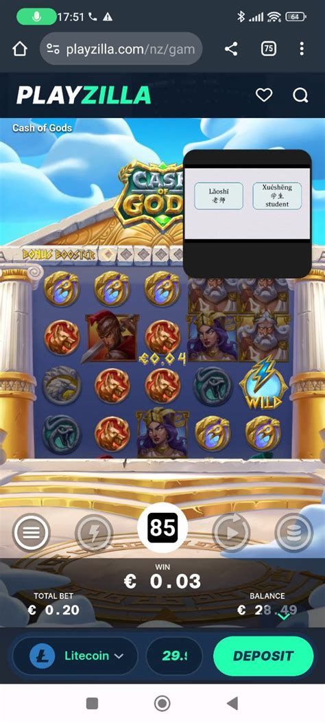 PlayZilla Casino Review 2024 .